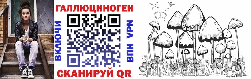 Псилоцибиновые грибы Magic Shrooms  где можно купить   Новое Девяткино 